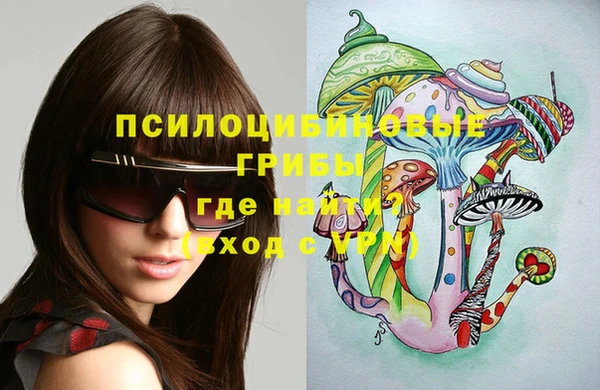 молекула духа Волосово