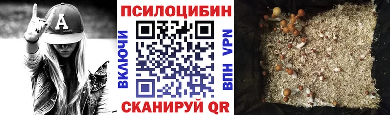 цена наркотик  MEGA ссылка  Галлюциногенные грибы мухоморы  Самара 